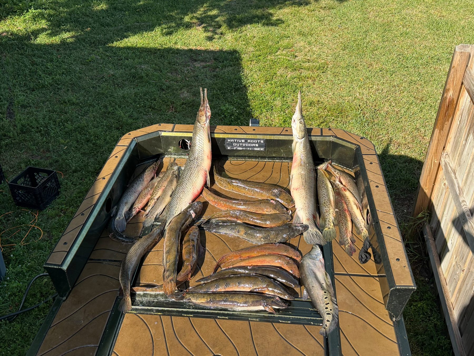 Native Roots Outdoors bowfishing trip photo with guests, fish, boat lights, and South Florida water